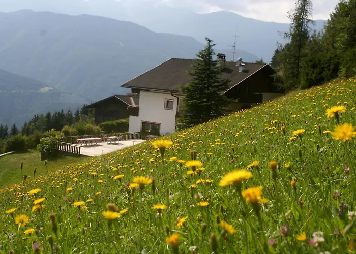 Biogasthaus Plonerhof